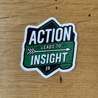 action leads to insight