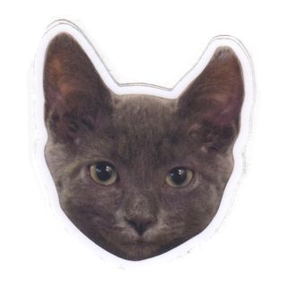 Courtesy of @stephaniehobson