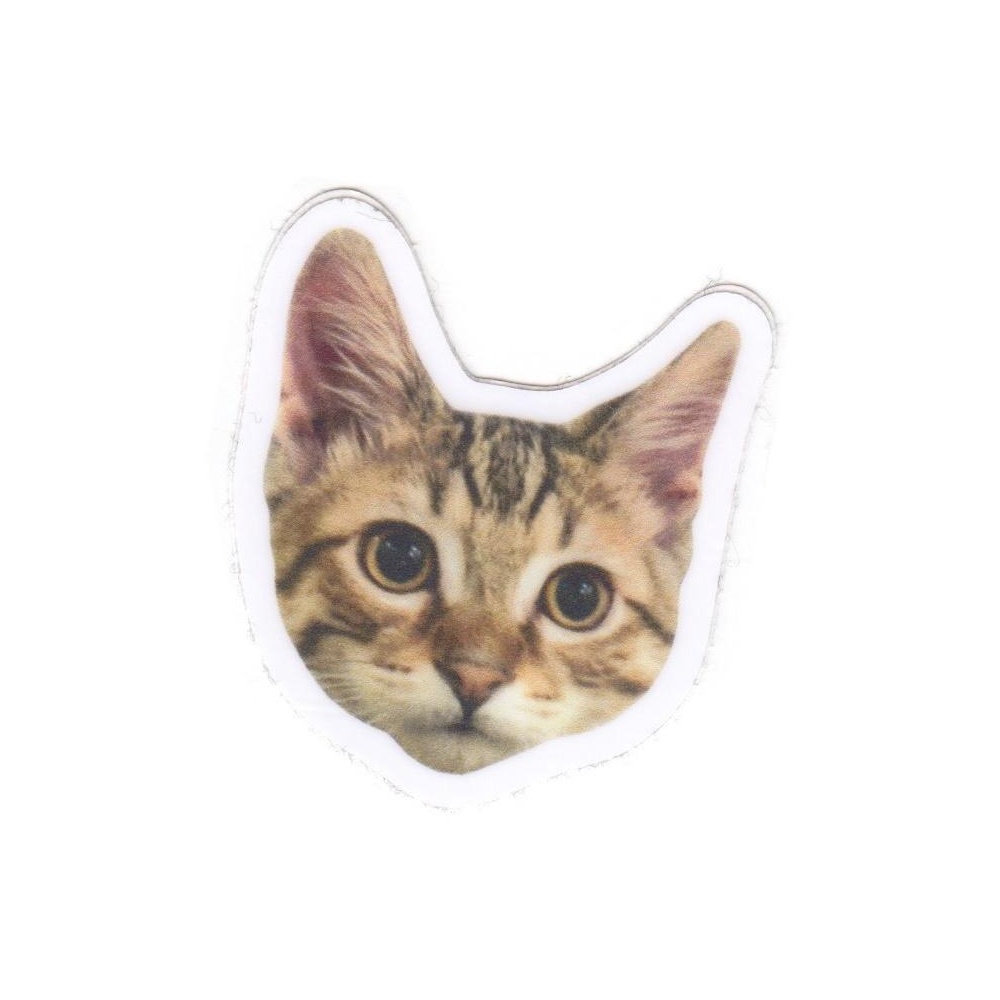 Photo of Collectable object (0555ae43-ac7b-4959-3c59-58731c491e77)