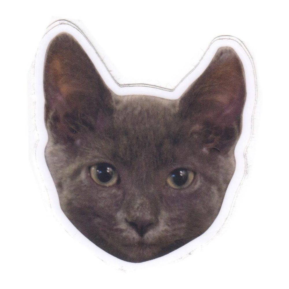 Photo of Collectable object (5042a023-75db-e535-91e2-b61208e142e4)